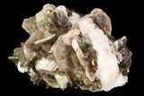 Muscovite & White Albite Crystal Association - Brazil #95572-1